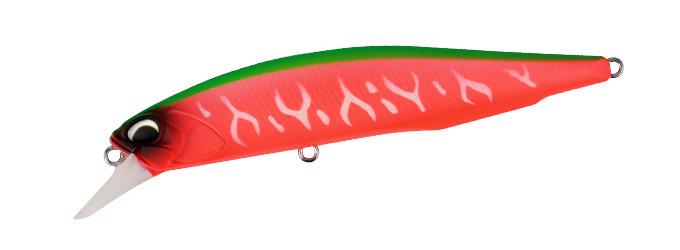 ACC3338 Dragon Fruit Tiger