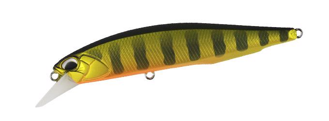 ASA3146 Gold Perch