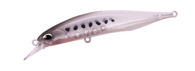 CEA0493 Whitebait