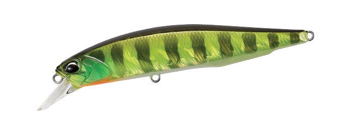 AJA3055 Chart Gill Halo