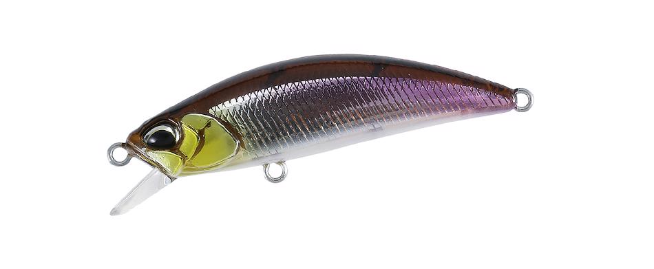 GSN4011 Stream Shad