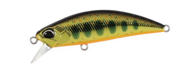 MCC4084 Gold Yamame