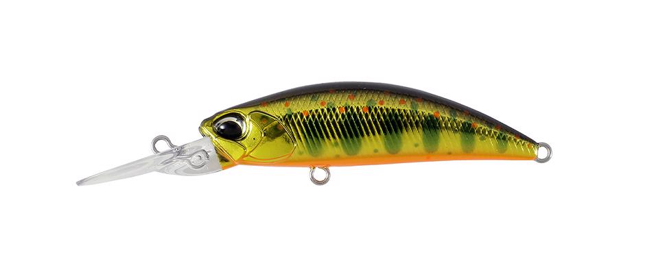 MCC4084 Gold Yamame