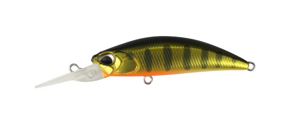 ASA3146 Gold Perch