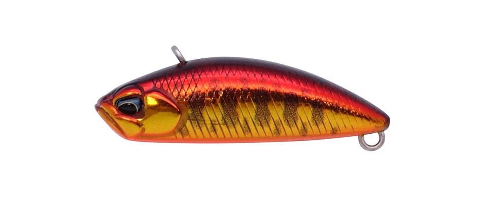 CSA4152 Red Gold Yamame