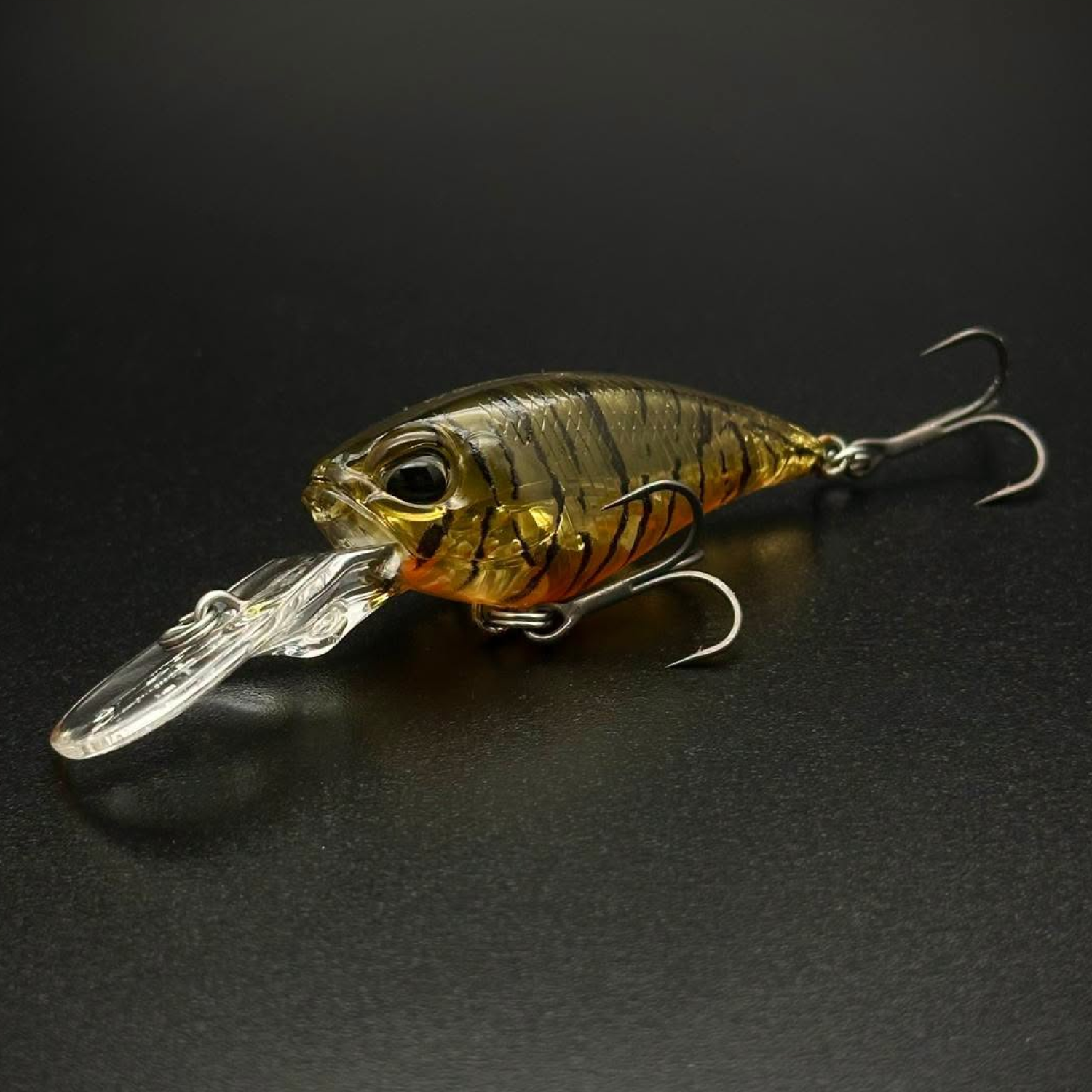 CCC0888 UV Tiger