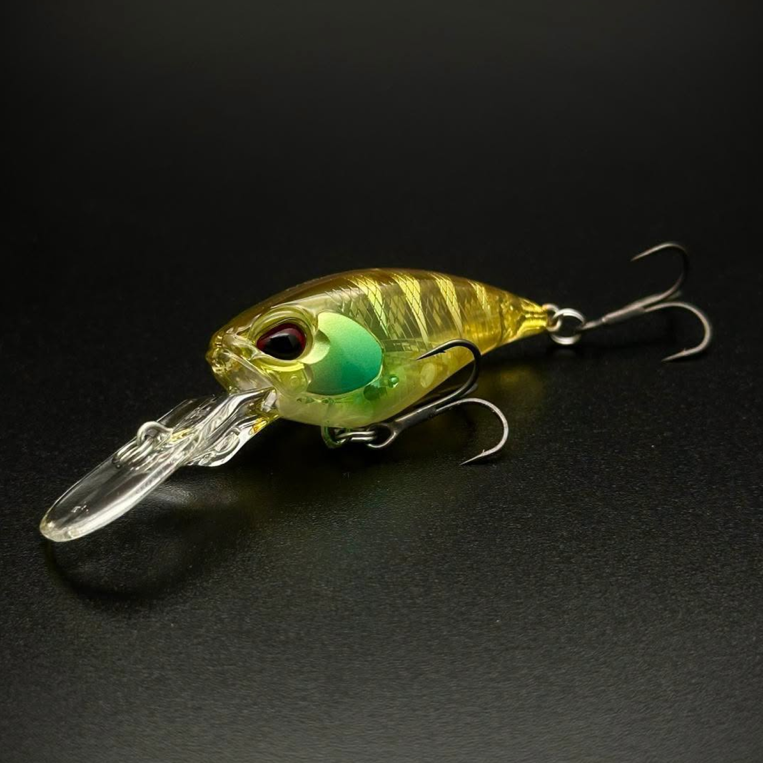 CCC3588 Golden Grunter OB