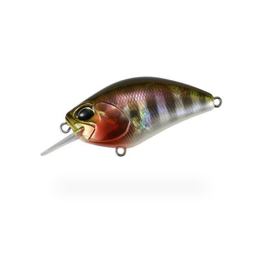 Realis Crank Kabuki - Duo