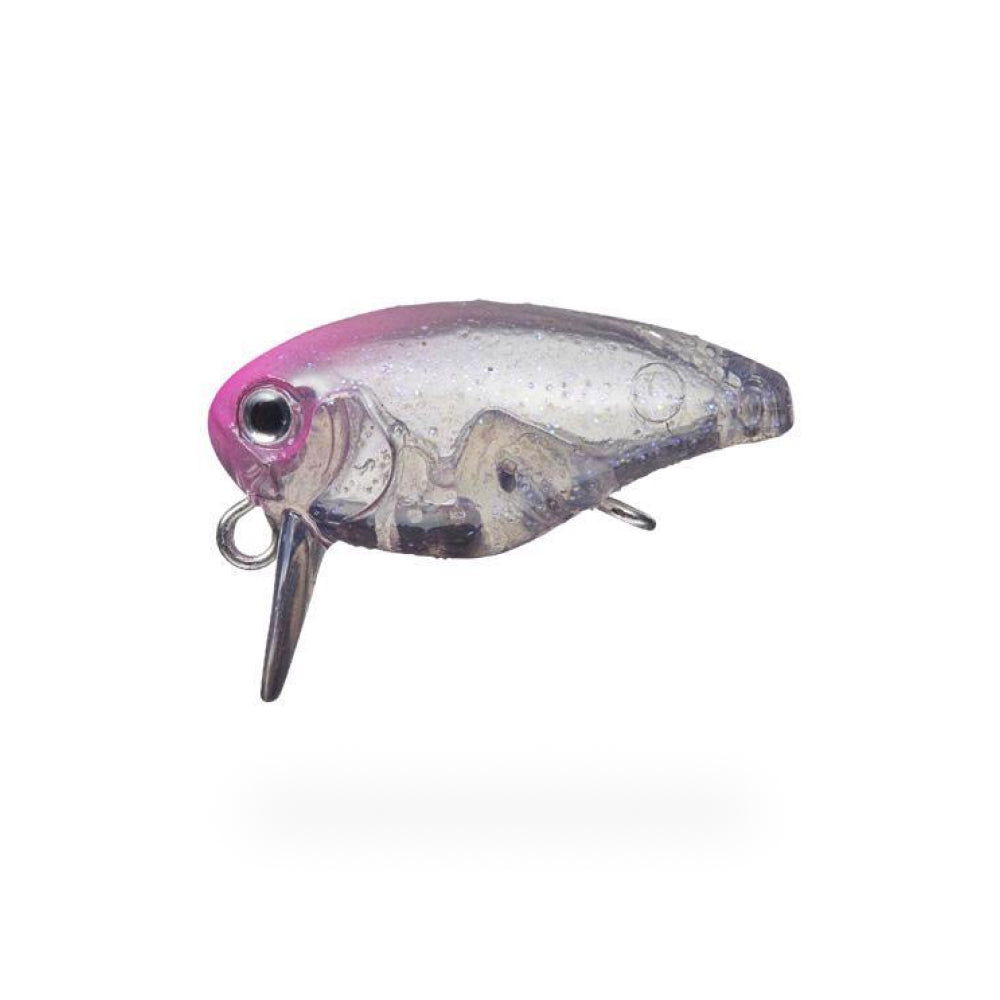 Killer Bug - Evergreen
