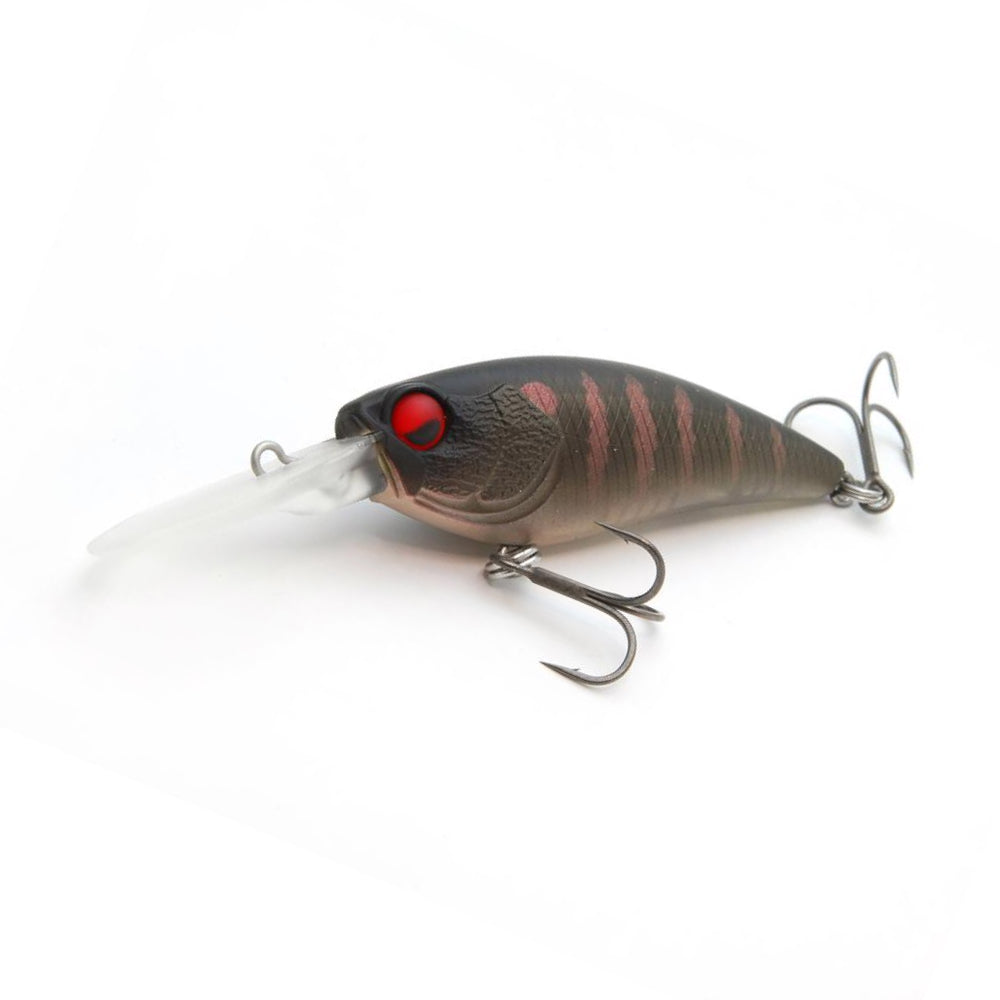 Level Shad - Raid Japan