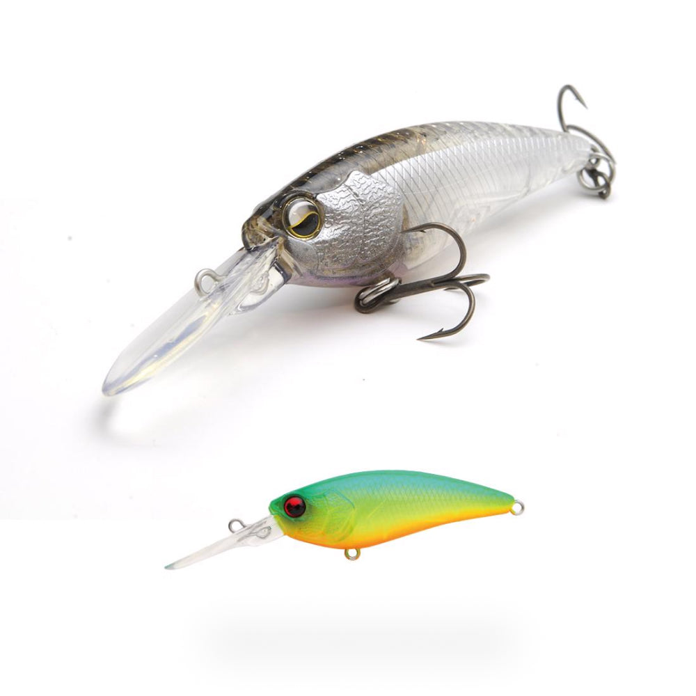 Level Shad - Raid Japan