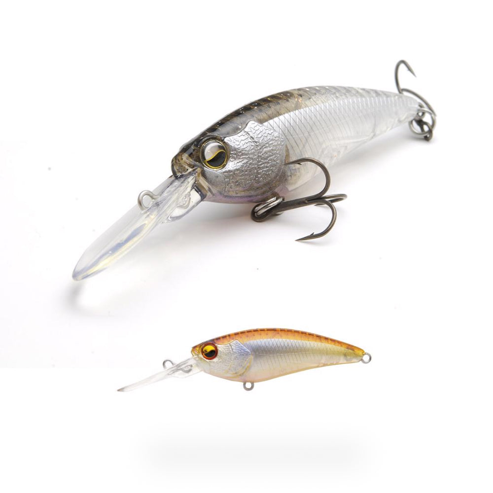 Level Shad - Raid Japan