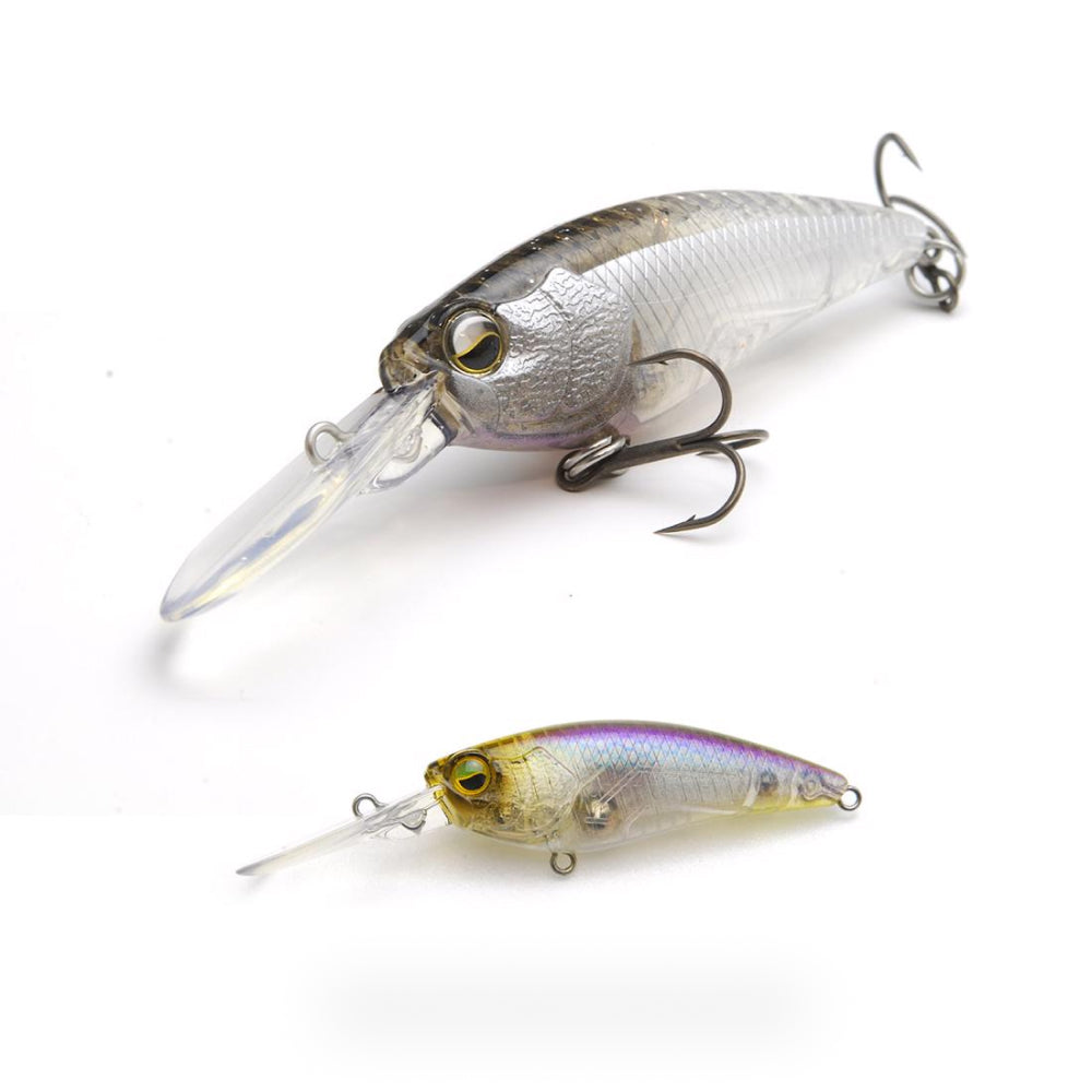 Level Shad - Raid Japan