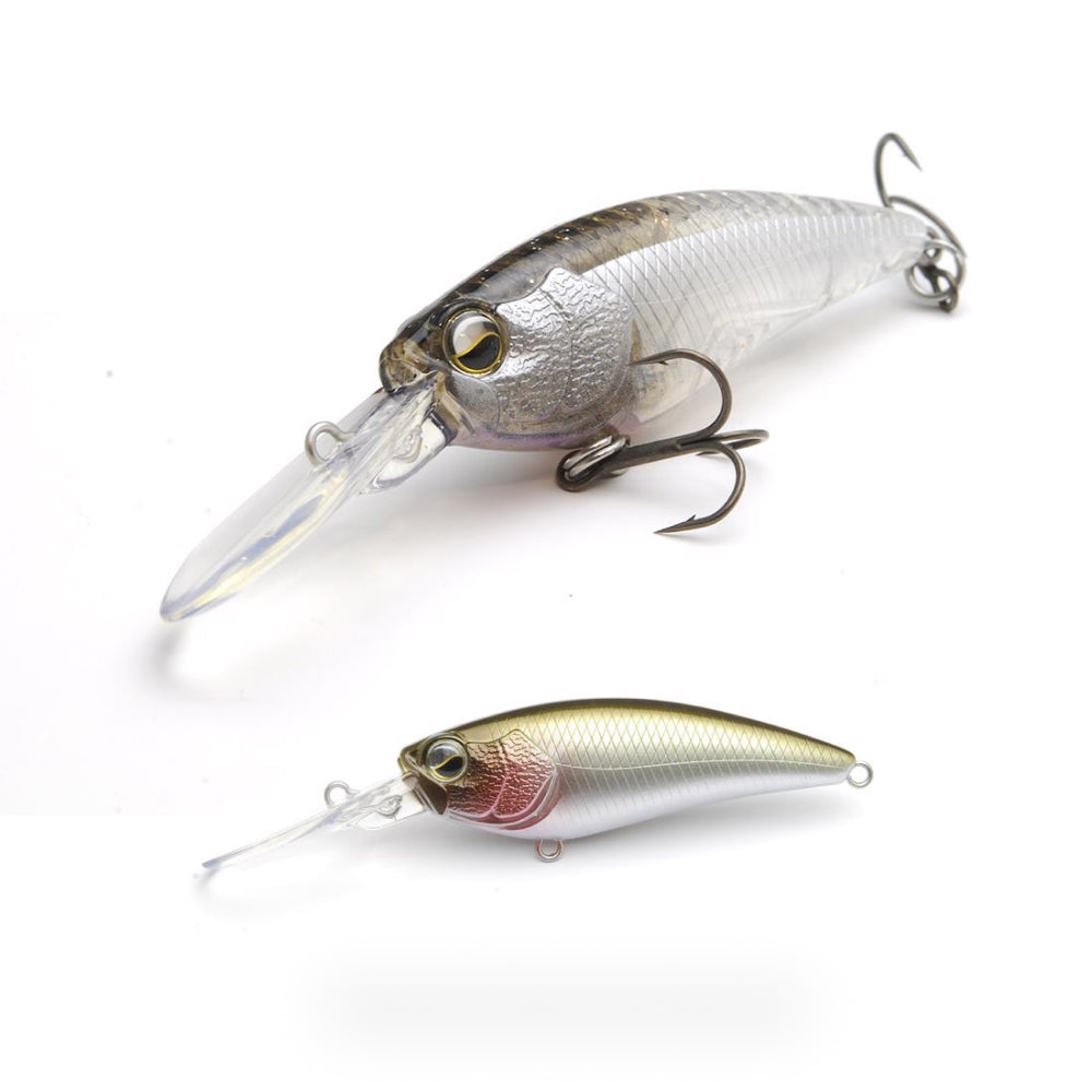 Level Shad - Raid Japan