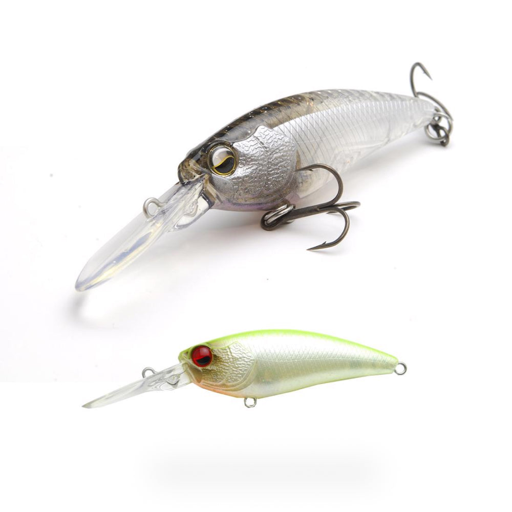 Level Shad - Raid Japan