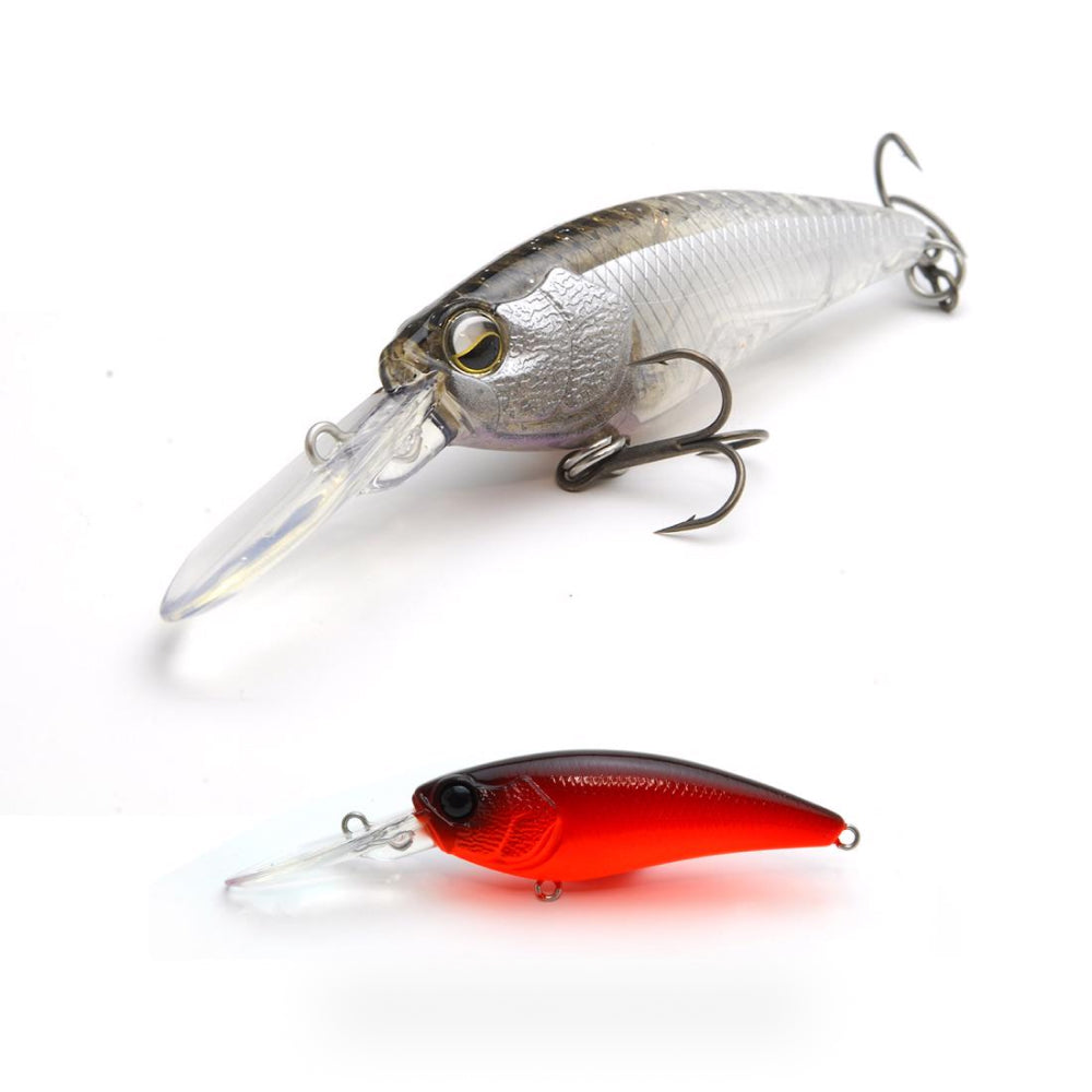 Level Shad - Raid Japan