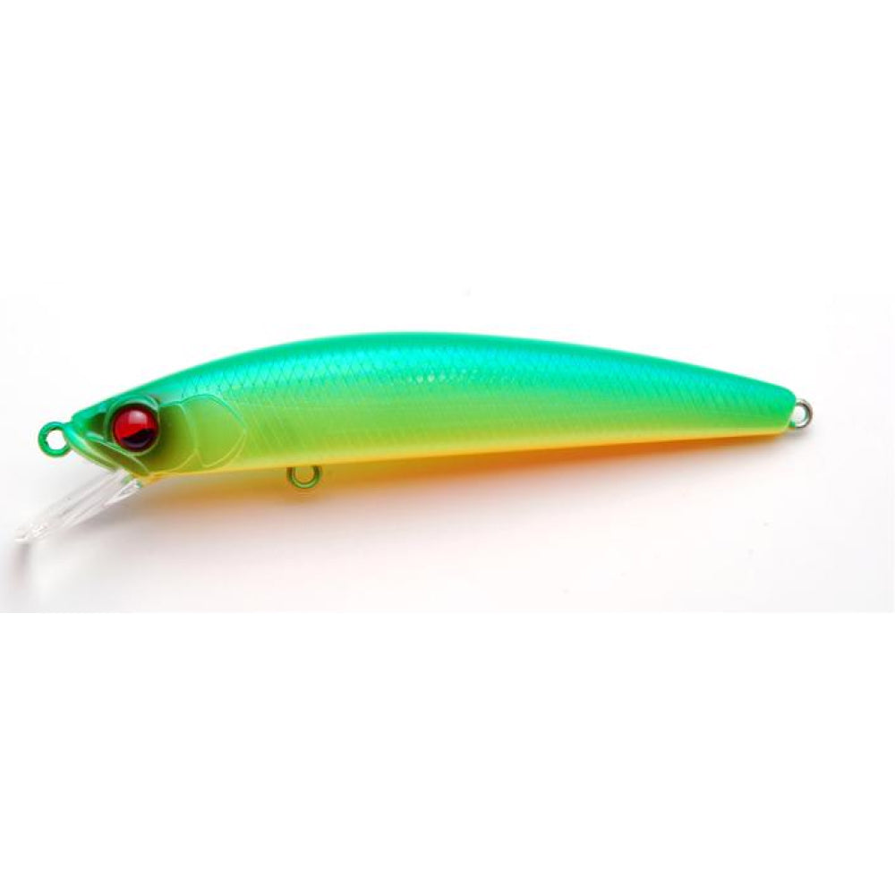 Level Minnow - Raid Japan