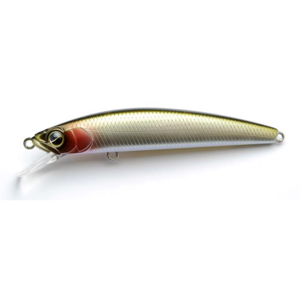 Level Minnow - Raid Japan