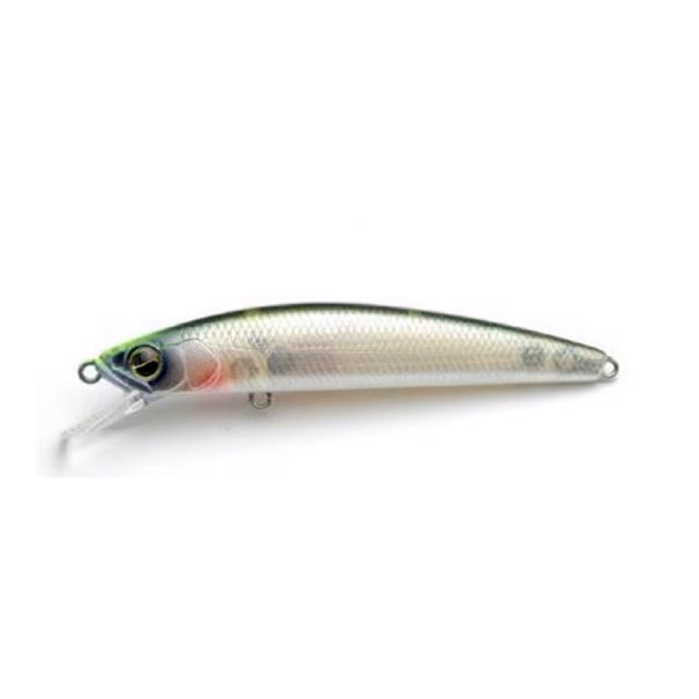 Level Minnow - Raid Japan