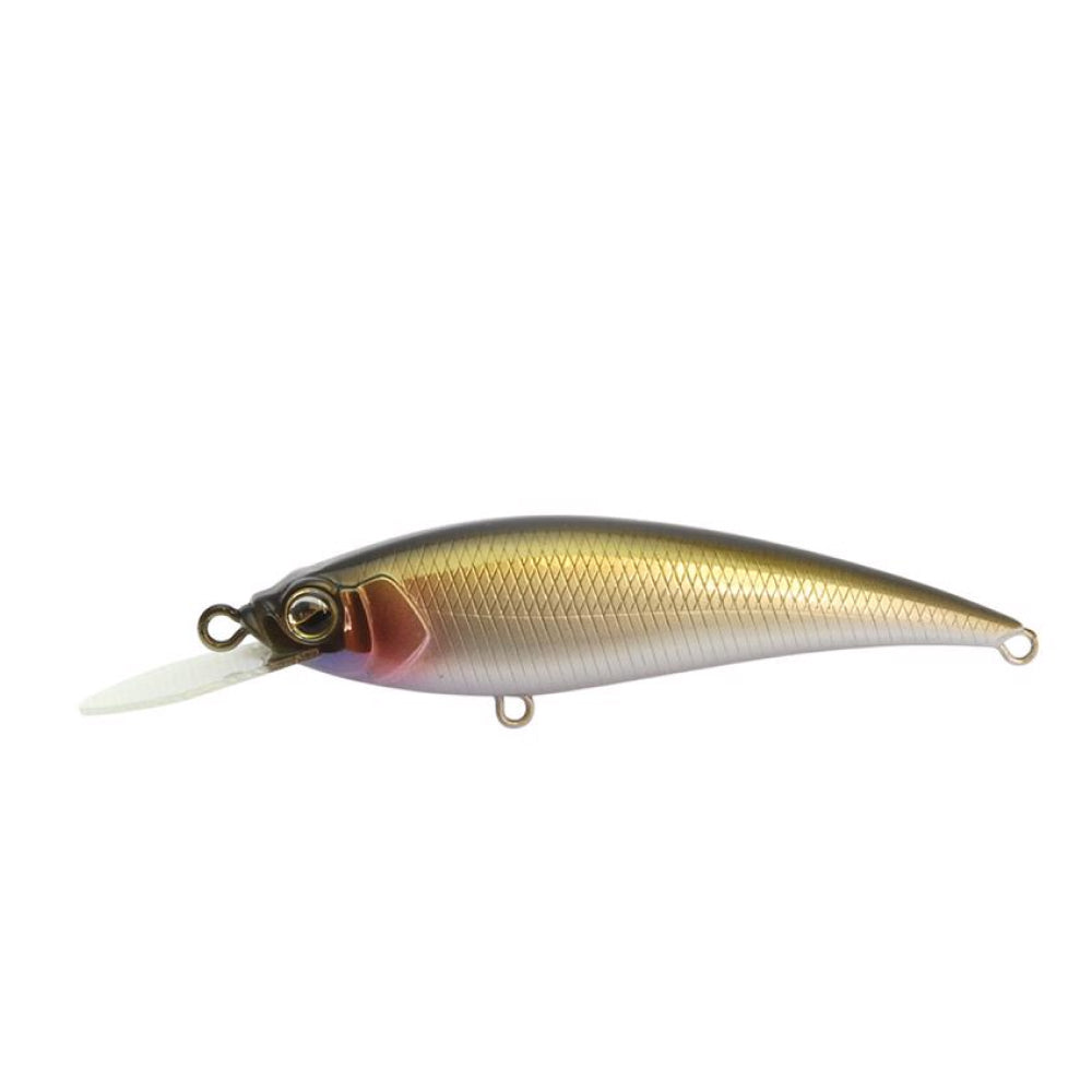 Level Shad Sprinter - Raid Japan