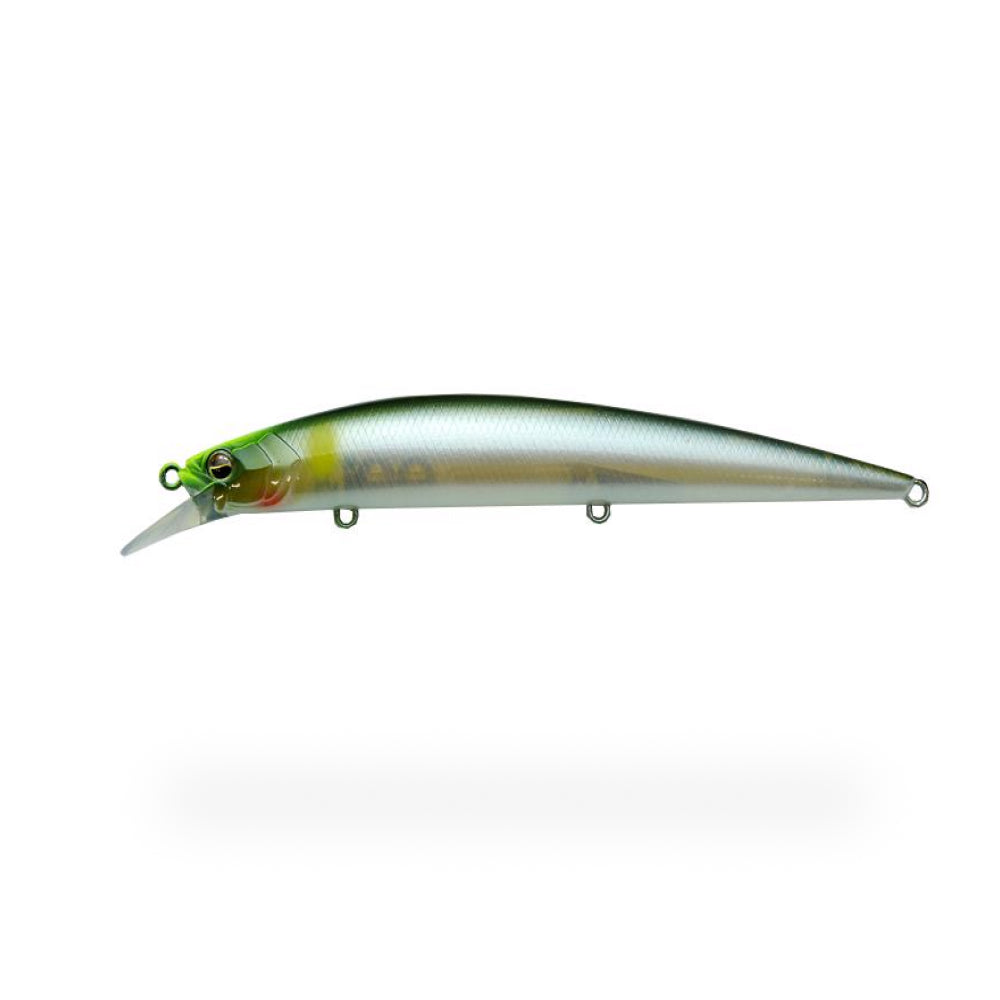 Level Minnow - Raid Japan