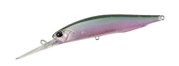 CCC3254 D Shad