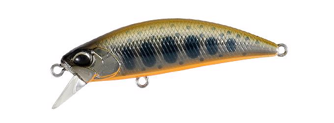 MCC4018 Brown Back Yamame OB