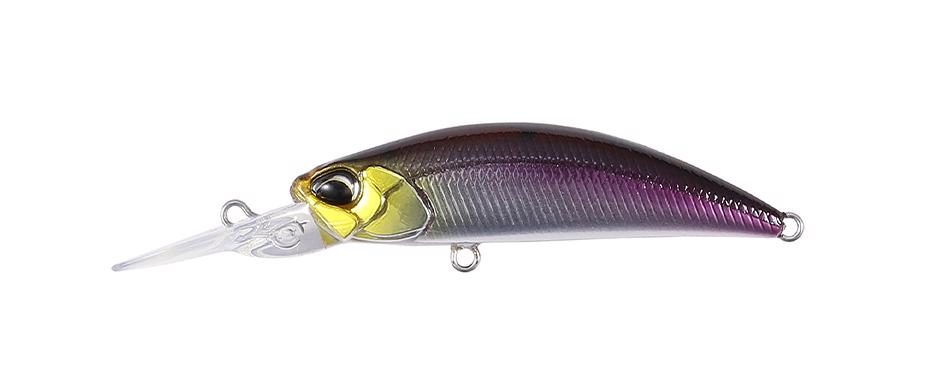 CSN4011 Stream Shad