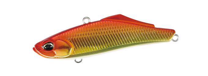 ASA0032 Red Shiner