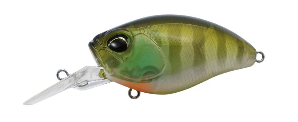 MR CCC3158 Ghost Gill