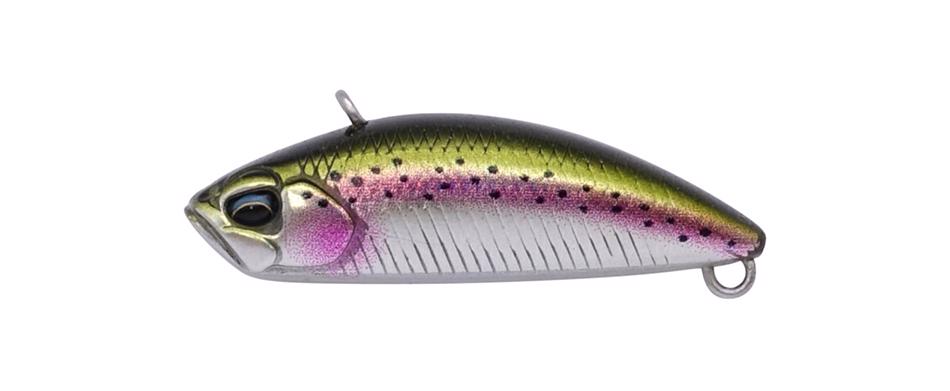 CAA4156 Stream Rainbow