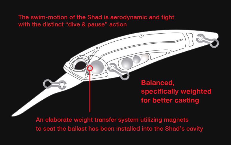 Realis Shad SP - Duo