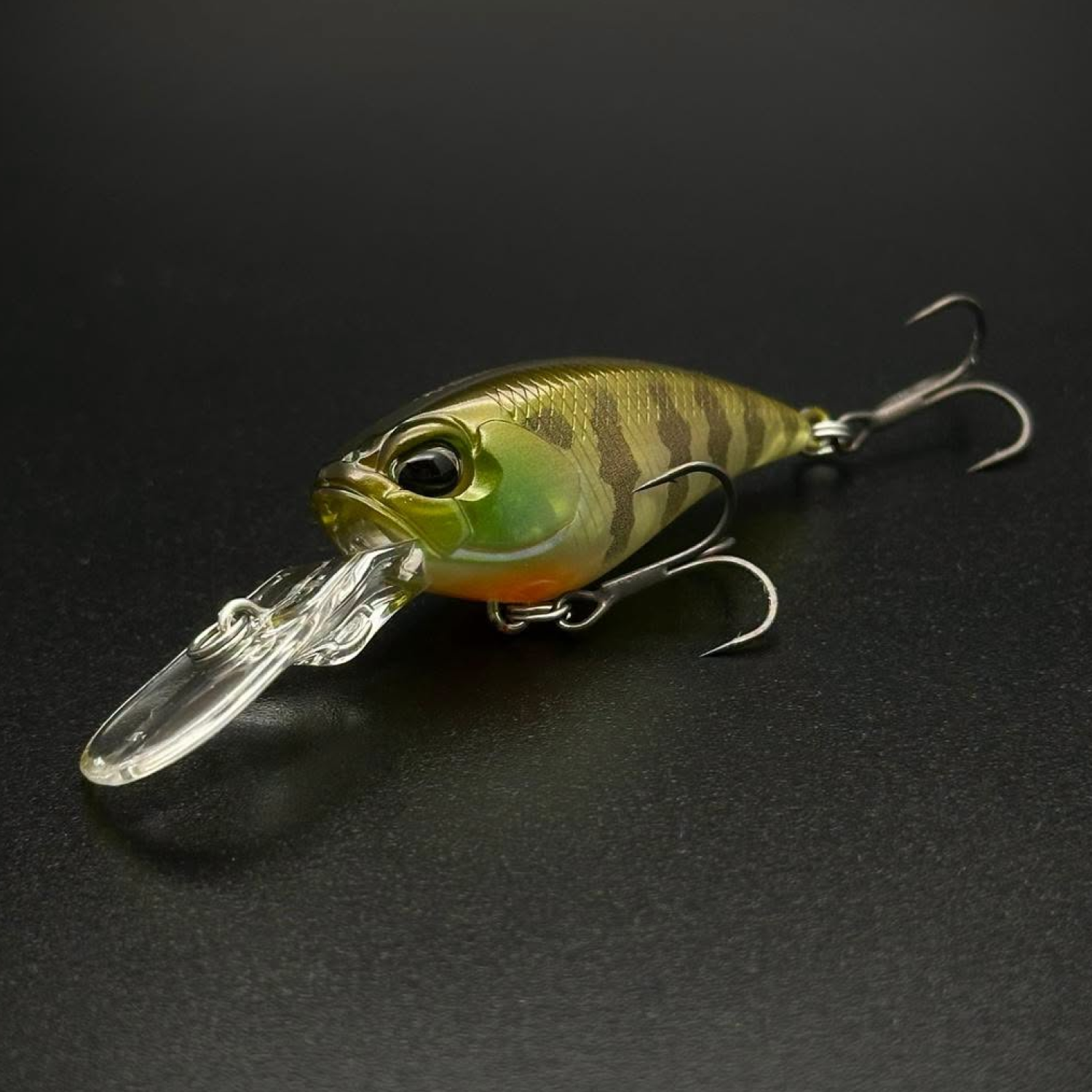 CCC3158 Ghost Gill