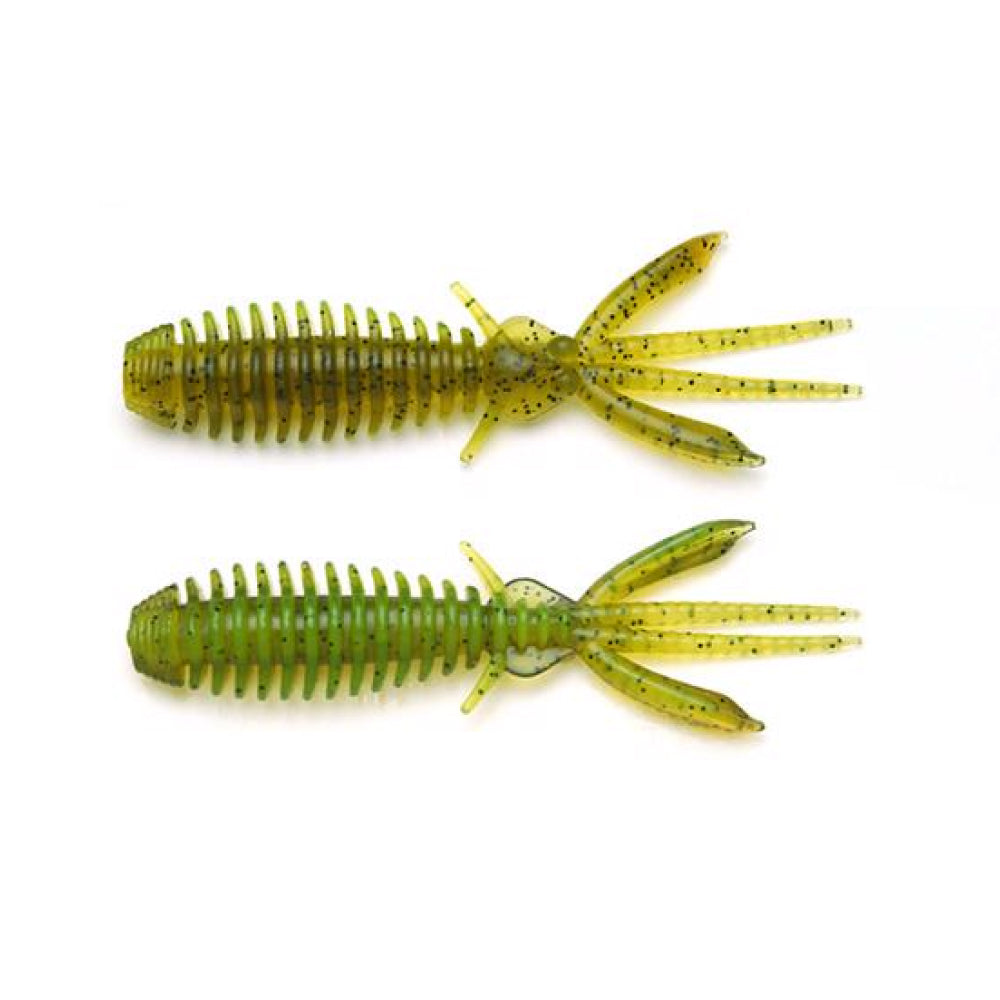 Egubug - Raid