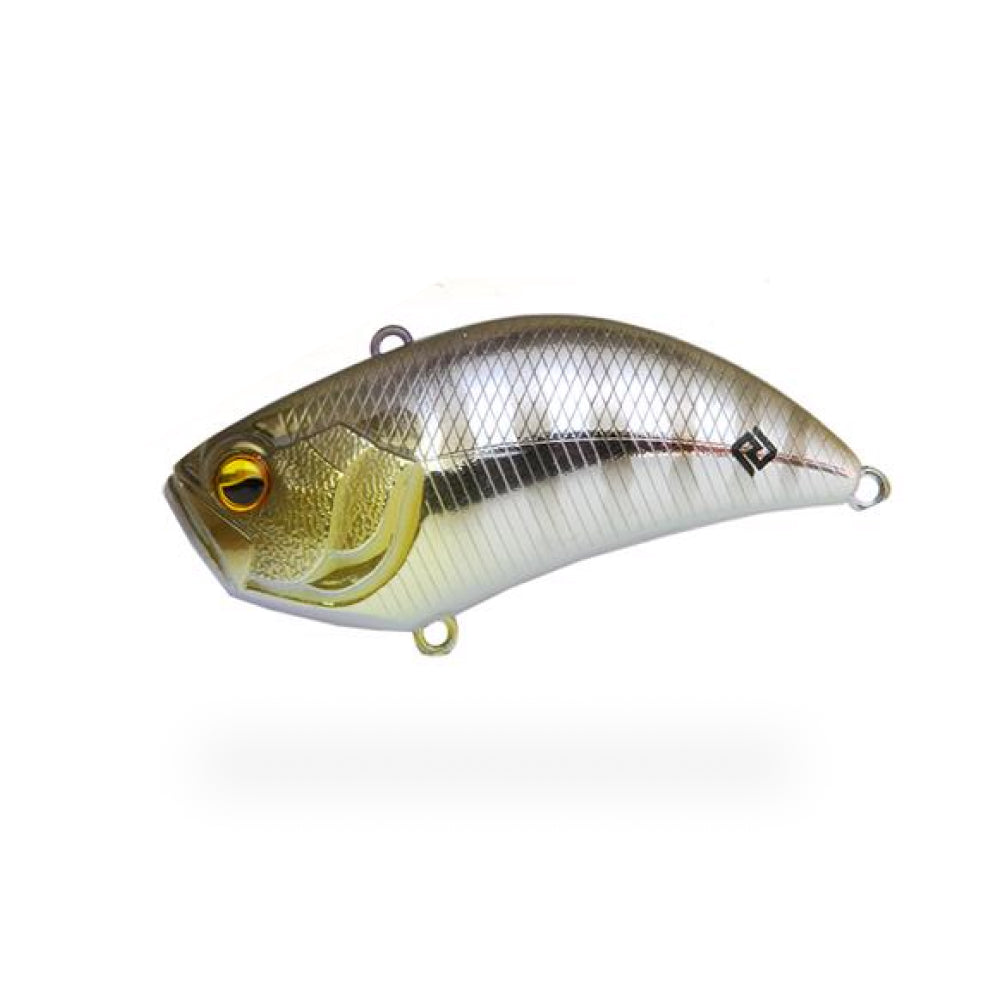 006 Chi Gill