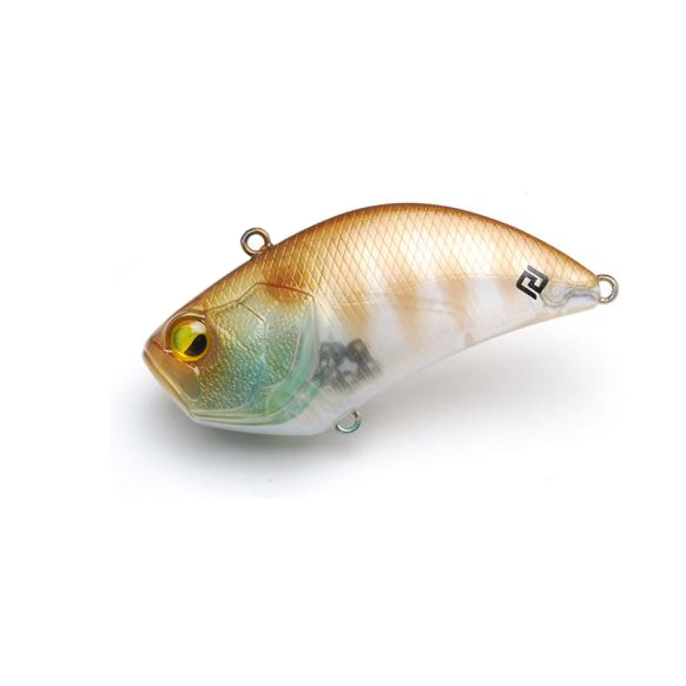 019 Onion Gill