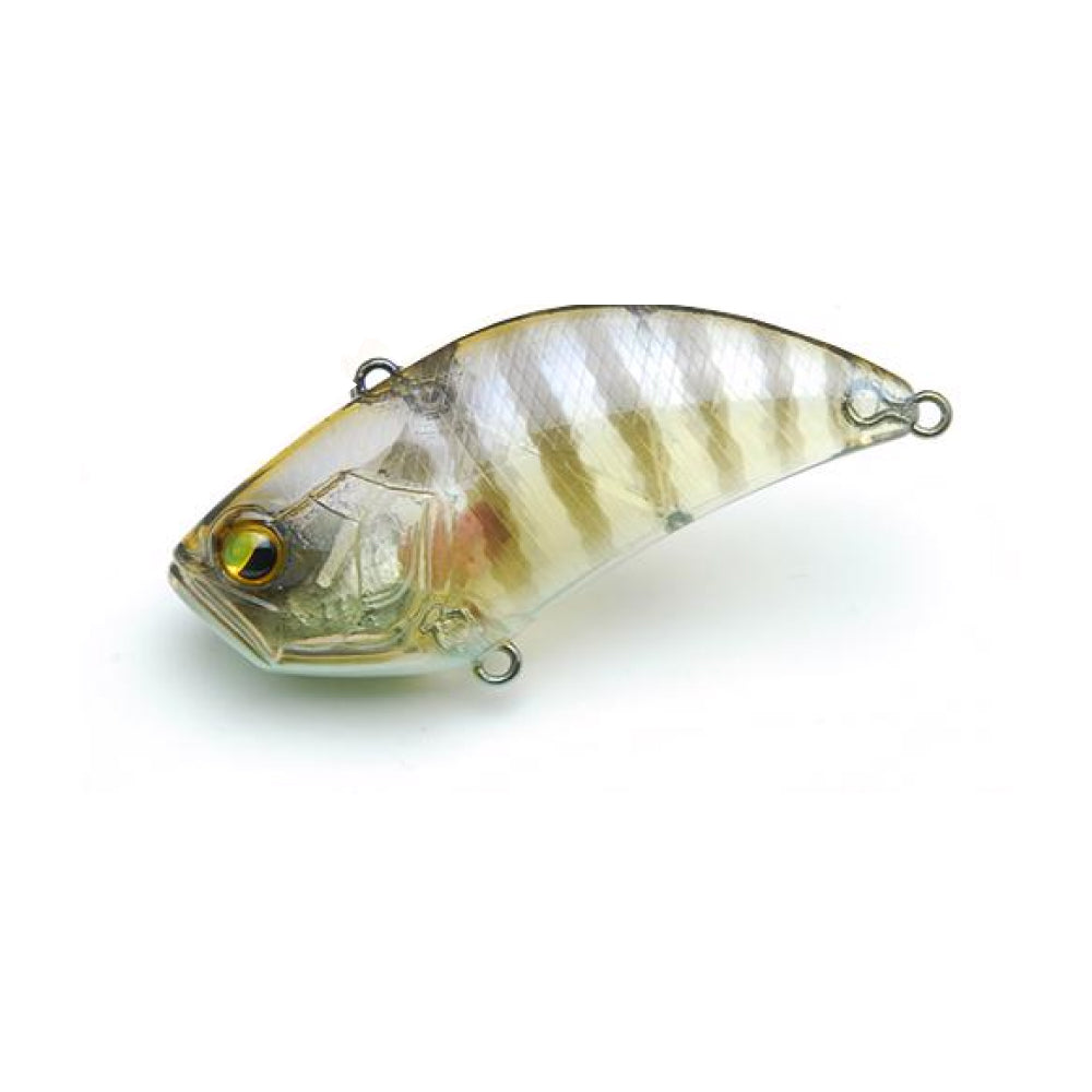 020 Sukebe Gill